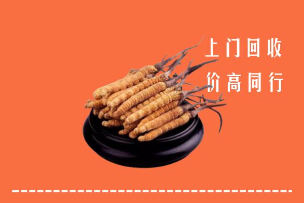 高价求购：保定容城回收散虫草