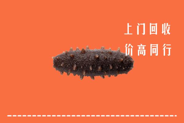 高价求购：保定容城回收海参