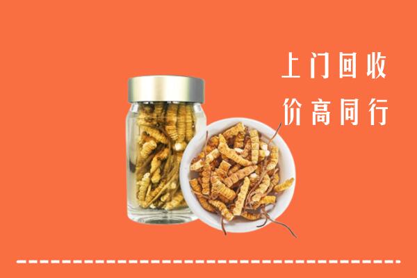 保定容城回收冬虫夏草