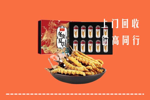 保定容城回收虫草